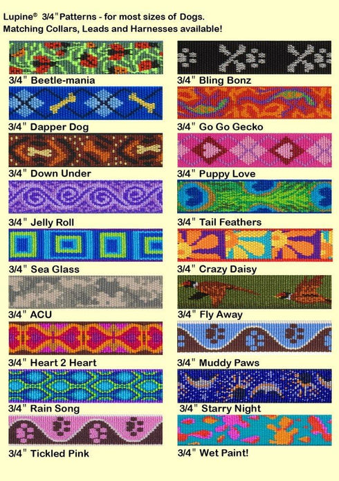 LupinePet Originals 3/4" Puppy Love 6-foot Slip Lead/Leash for Medium and Larger Dogs