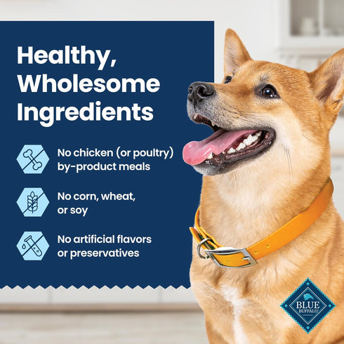 Blue Buffalo Medium Dental Chews for Dogs (14 Count) Made in the USA, Natural Ingredients, Chicken & Spearmint, Daily
