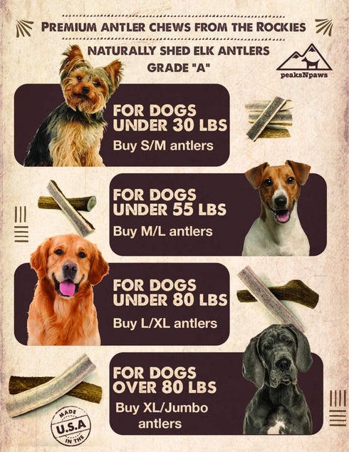 Premium All-Natural Grade A Elk Antlers for Dogs - No Additives, No Preservatives - Made in USA (Small/Medium)