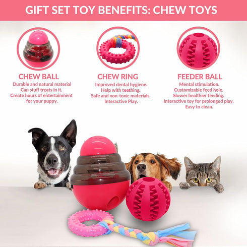 Pink Dog Gift Box - Puppy Care Package with 5 Chew Toys, Dog Blanket, Squeaky Plush, Rubber Teether, and Treat Ball