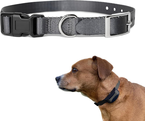 e-Collar Replacement Strap, Shock Collar Replacement, Compatible with Most Brands, 1", Gray