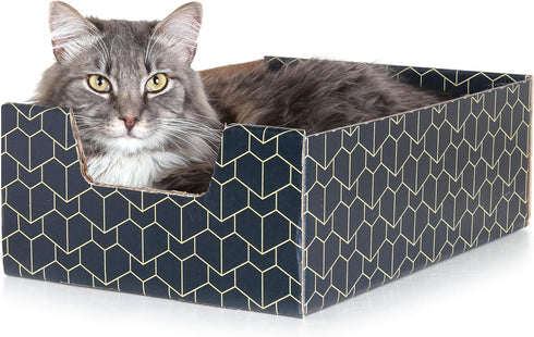 Modern Cat Box Lounger with Peek-a-Boo Cutout, Premium Corrugated Cardboard Bed for Kittens and Small Pets, Blue