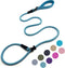 Slip Lead Dog Leash (6ft), Strong Nylon Rope Anti-Choking Outdoor Training Lead for Small Medium Large Dogs, Light Blue