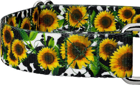Country Country (1 Inch, Brook Petz - Dairy Fields Martingale Dog Collar and Leash - and Western Collection Featuring