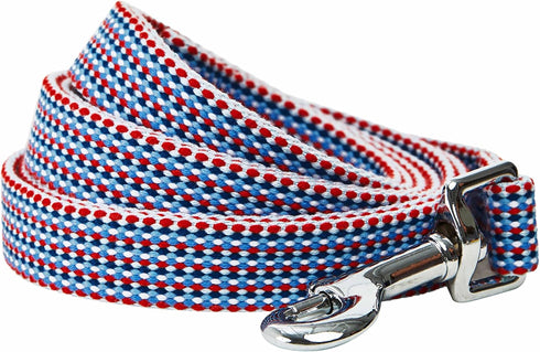 Blueberry Pet Multicolor Braids Dog Leash, 5 ft x 5/8", Small, Leashes for Dogs