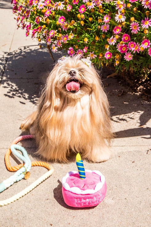 Plush Birthday Dog Toys - Pink Birthday Cake Toy with Squeaker for Small, Medium, and Large Dogs