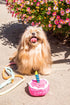 Plush Birthday Dog Toys - Pink Birthday Cake Toy with Squeaker for Small, Medium, and Large Dogs