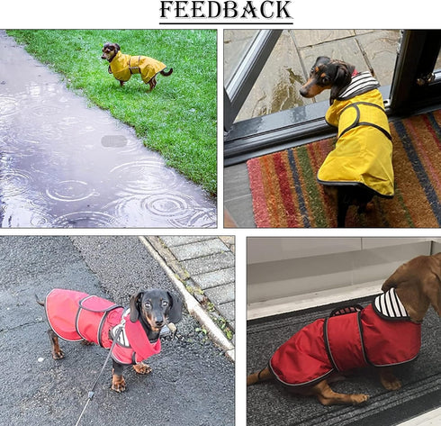 Dachshund Raincoat - Waterproof Corgi Raincoat for Dachshunds, Weiner Long Back Breeds with Reflective Stripe, Great
