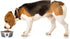 PetRageous 15001 Fiji Stainless Steel Dog Bowl - 3.75-Cup Capacity, 6.75-inch Diameter, 2.5-inch Tall, White and Slate