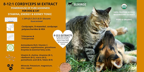 PURE CORDYCEPS M >25% ß-glucans, 100% Mushrooms Extract for Dogs & Cats, Stamina, Energy, Immune Support, 250 SERVINGS.