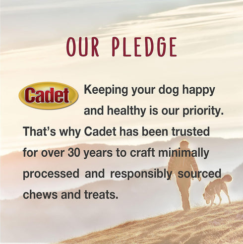 Cadet Gourmet Shish Kabob Dog Treats for Large Dogs, Healthy & Natural Chicken & Sweet Potato Chew Sticks, 10 Inch (4