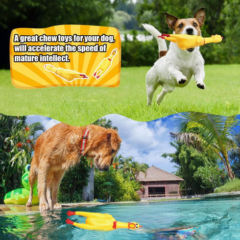 16 Pack Toy(12 Inch,Yellow) Sratte Screaming Chicken Toys Bulk Large Rubber Squeaking Chicken Toys for Pet Chew Gifts