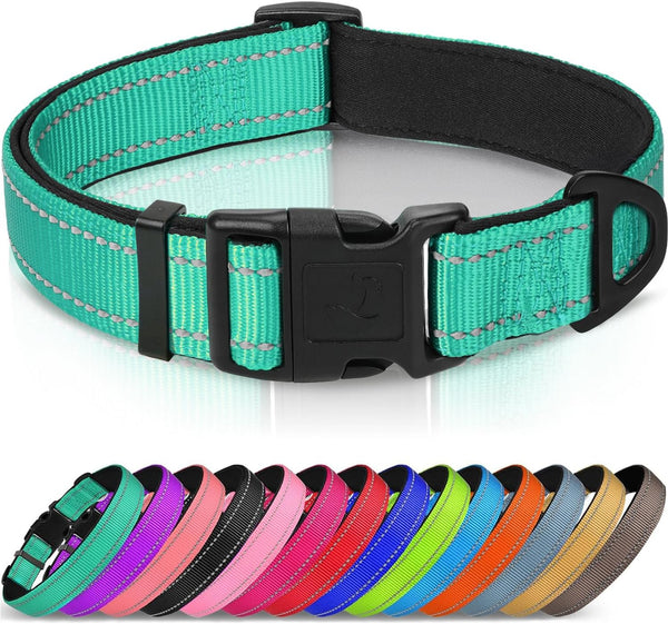 Joytale Reflective Dog Collar - Soft Neoprene Padded Nylon Pet Collar, Adjustable for Medium Dogs, Teal, M