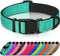 Joytale Reflective Dog Collar - Soft Neoprene Padded Nylon Pet Collar, Adjustable for Medium Dogs, Teal, M