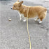 BTINESFUL 7FT Slip Lead Dog Leash, Strong Nylon Rope Training Lead for Small Medium Large Dogs, Beige
