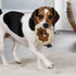Tough 'N Fun Donut Plush Dog Toy - Tan, Small, Squeaky with Chew Guard Technology (71148)