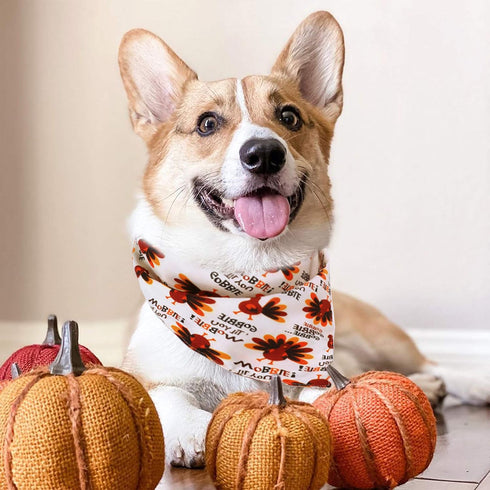 Pohshido 2 Pack Dog Thanksgiving Bandana, Reversible Triangle Bibs for Small Medium Large Dogs, Fall Pumpkin Turkey
