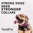 Regal Dog Products Medium Pink Heavy Duty Reflective Dog Collar with Durable Metal Buckle, Adjustable & Chew Proof