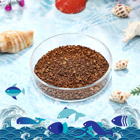 Patelai 3 Pieces Aquarium Shrimp Feeding Dish - Clear Glass Fish Tank Feeding Bowl Food Bowl, 60mm, 65mm, 80mm