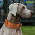 Genuine Leather Spike Dog Collar, Heavy Duty, Full Grain, 2" Wide, Brown with Gold Spikes (L, 18.5"-22.5")