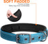 Fida Heavy Duty Dog Collar, Ultra Comfortable Soft Neoprene Padded Adjustable Reflective Nylon for Medium Breeds, Blue,