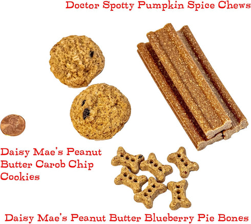 Dog Birthday Treat Gift Box - Gift-Shaped Treat Dispenser with USA-Made Treats for Small Dogs