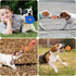 6 Pack Dog Chew Squeaky Toys for Puppy Teething 2-8 Months, Soft & Durable Chew Toys for Small and Medium Dogs