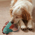 Sumuyo Toy,2-Pack Plush Wrinkled Squeaky Dog The Best Durable Teething Puppy Rope Chew Toy Keeps Them Busy Playing