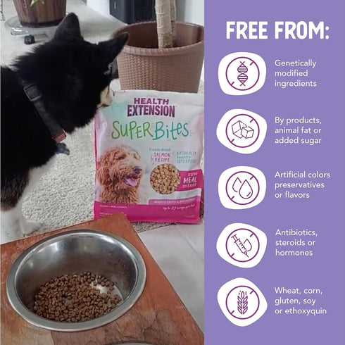 Health Extension Super Bites Freeze-Dried Raw Salmon Recipe, 18 oz, Supports Digestive Health