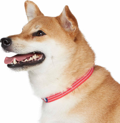 Blueberry Pet Essentials Matching Small Dog Collar - Adjustable Classic Solid Color Nylon Reflective Fiery Red Collar