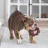 Nylabone Textured Ring Power Chew Toy for Large Dogs, X-Large - 50+ lbs, Durable Chew Bones, Flavor Medley