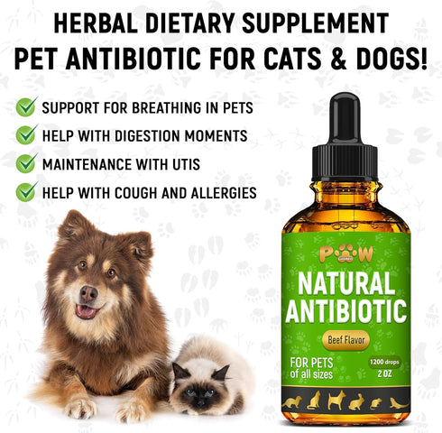 Antibiotic for Cats | Natural Antibiotics for Dogs | Cat Antibiotics | Dog Antibiotic | Antibiotic for Dogs | Natural Antibiotics for Cats | Natural Dietary Supplement Pet Antibiotic | Beef | 2 Oz