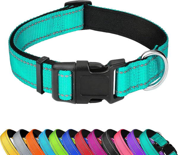 Reflective Dog Collar, Adjustable Soft Neoprene Padded Nylon Pet Collars with Buckle for Puppy and Small Dogs, Teal, XS