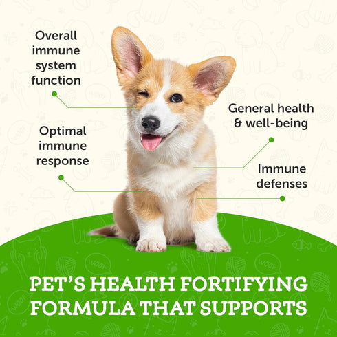 Animal Essentials Super Immune Support for Dogs & Cats, 1 fl oz - Promotes Healthy Immune System