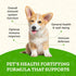 Animal Essentials Super Immune Support for Dogs & Cats, 1 fl oz - Promotes Healthy Immune System