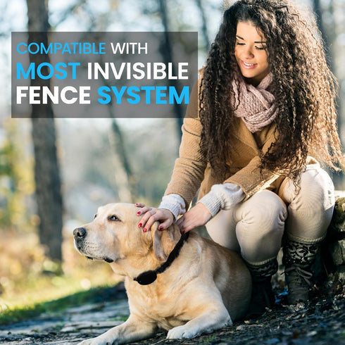 Nylon Replacement Collar, Shock Collar Replacement for Extreme Dog Fence & Invisible Fence, Fits Most PetSafe Collars