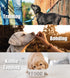 Whole Life Pet Just One Turkey Dog and Cat Value Packs, Human Grade Freeze Dried, One Ingredient, Protein Rich