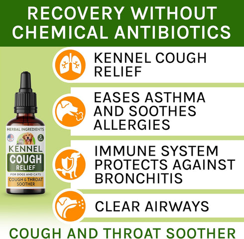 Kennel Cough Herbal Drops for Dogs & Cats, Cough Relief and Throat Soother, Made in US, 2 Fl Oz