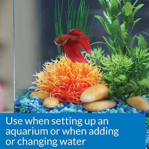 1.7-Ounce API BETTA WATER CONDITIONER Betta Fish Freshwater Aquarium Water Conditioner Bottle