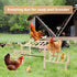 moyardow Chicken Perch, Natural Beech Wood Roosting Ladder, Chick Perch for Strong Wooden Roosting Bar for Poultry