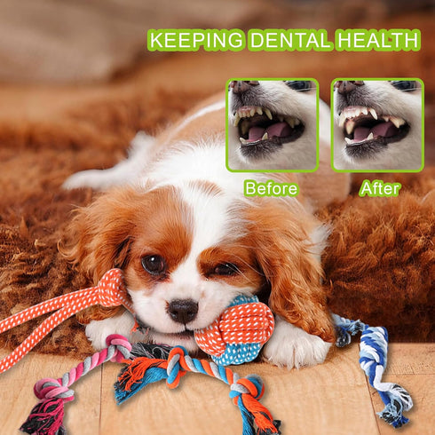 24 Pack Colorful Puppy Chew Toys for Teething - Plush Squeaky, Rope Chew Toys & Dog Treat Ball to Keep Them Busy
