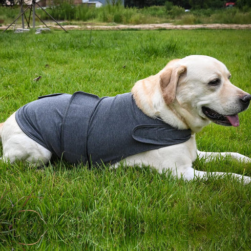 Dog Calming Shirt for Anxiety - Skin-Friendly Coat for Thunder, Fireworks, and Separation (Dark Brown, M) - Keep Pet