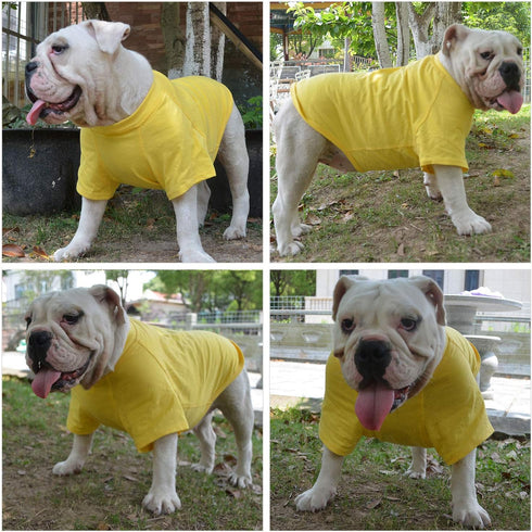 Lovelonglong Dog Costumes, Basic Blank T-Shirt Tee for Medium Large Dogs, Yellow, XXL+
