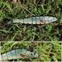 TRUSCEND Easy Catch Swimmax Fishing Lures, Magic Noisy Turbulent Wiggling Action for More Bites, Must-Have