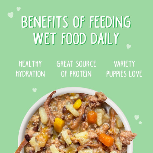 6oz Pack 8 Weruva Puppy, Beef and Rice Formula in Gravy, Can
