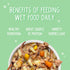 6oz Pack 8 Weruva Puppy, Beef and Rice Formula in Gravy, Can