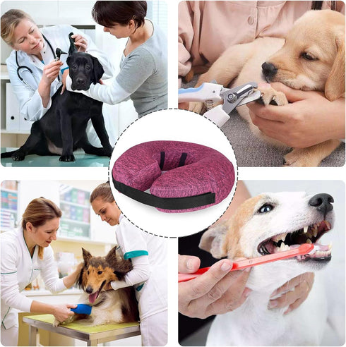 MIDOG Dog Cone Collar - Inflatable Neck Donut Collar Alternative for Small Medium Large Dogs and Cats (Rose, M)