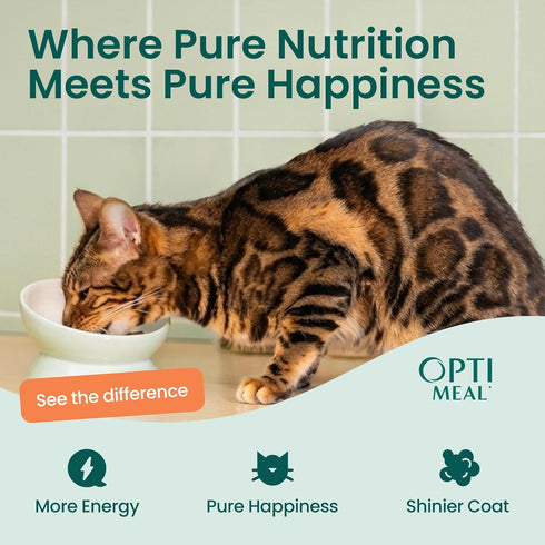 3oz (Pack 12) Optimeal Wet Cat Food Grain Free - Salmon & Tuna Tender Morsels, High Protein Premium Nutrition Made