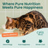 3oz (Pack 12) Optimeal Wet Cat Food Grain Free - Salmon & Tuna Tender Morsels, High Protein Premium Nutrition Made