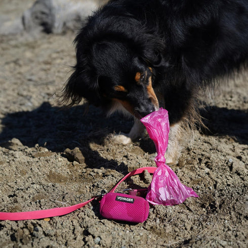 360 Best Pet Supplies Dog Poop Bags for Waste Refuse Cleanup, Doggy Roll Replacements for Outdoor Puppy Walking